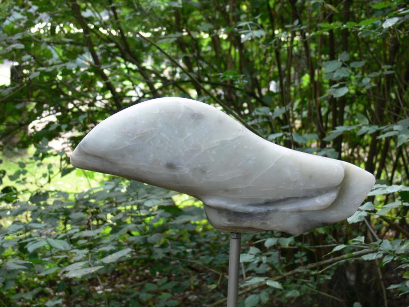 Dolfijn 2005
