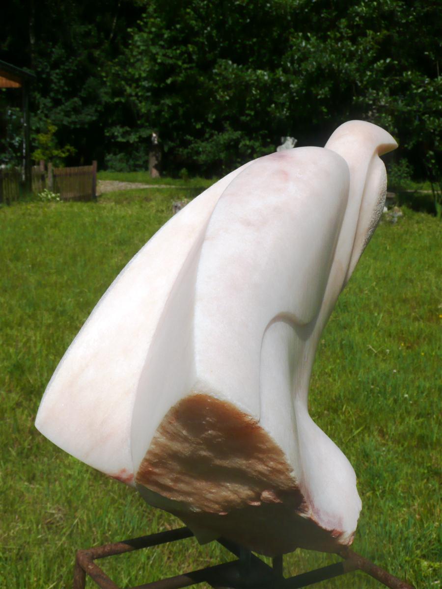 Feniks 2007