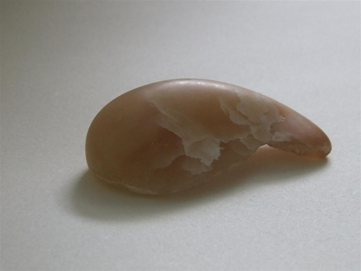 Foetus 2010