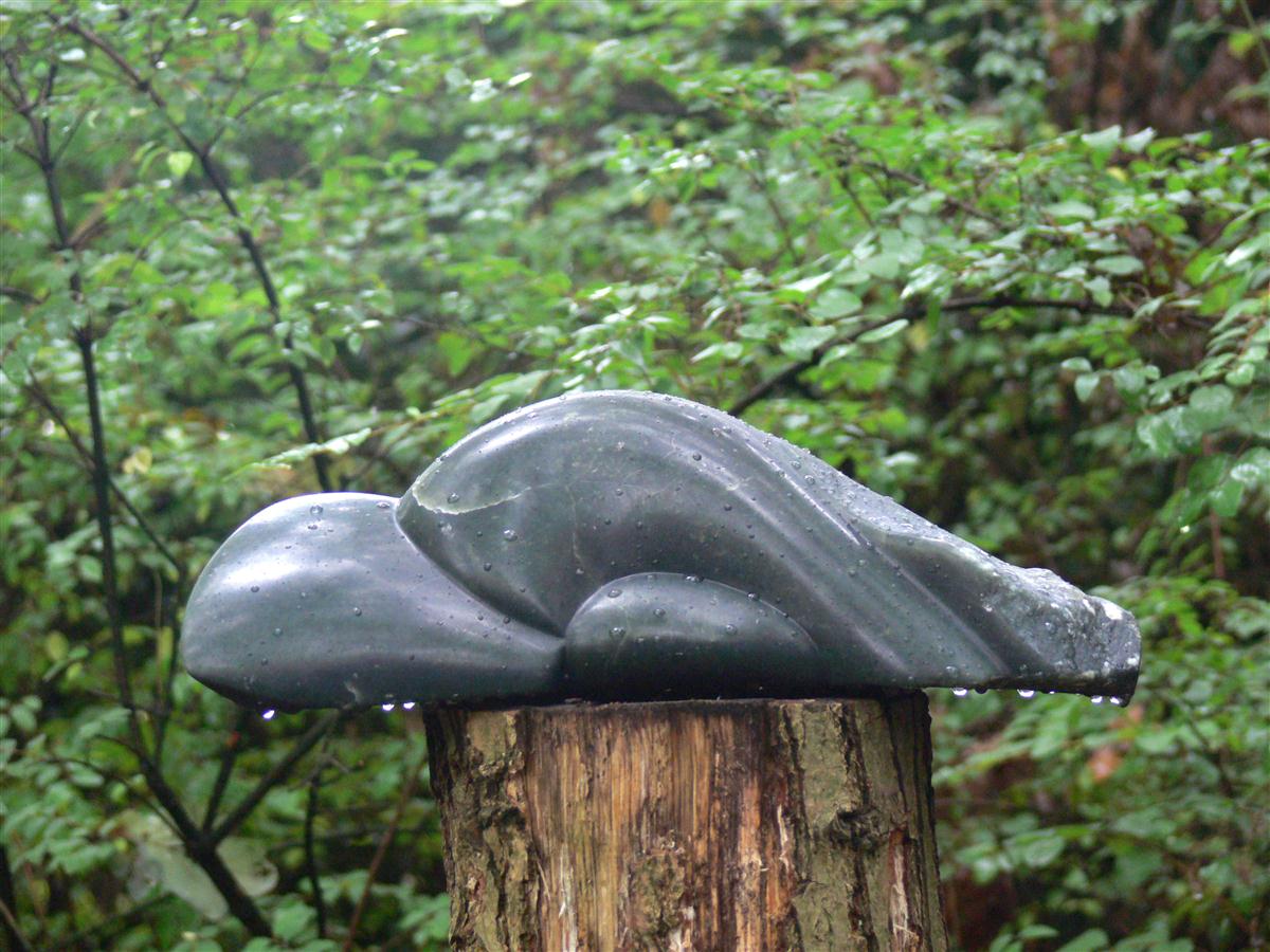 Gezinnetje 2008