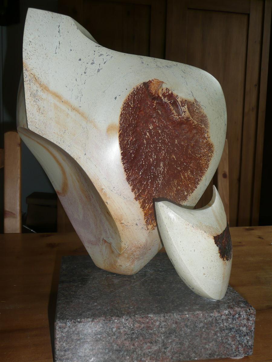 Kloek met kuiken 2008