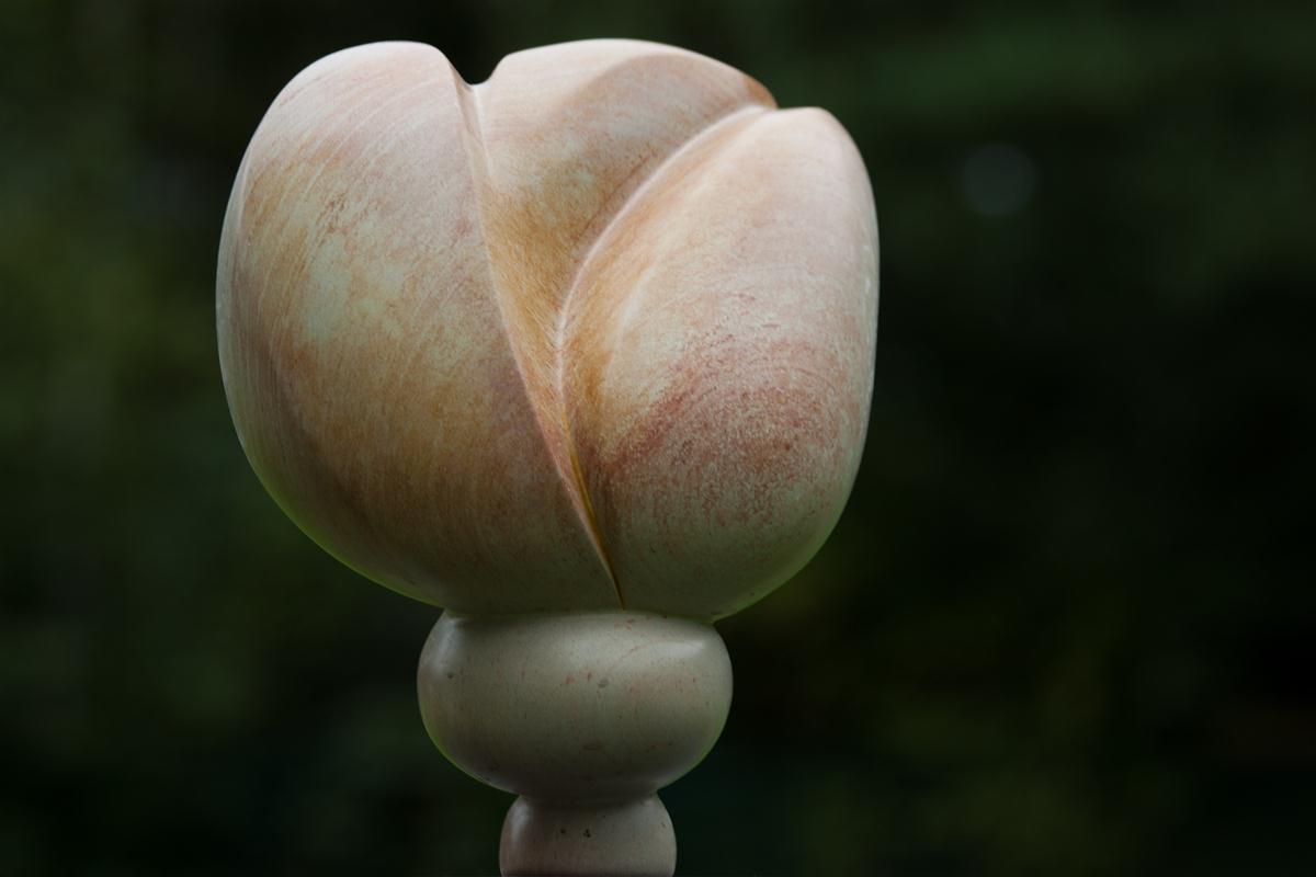 Lotusknop 2011