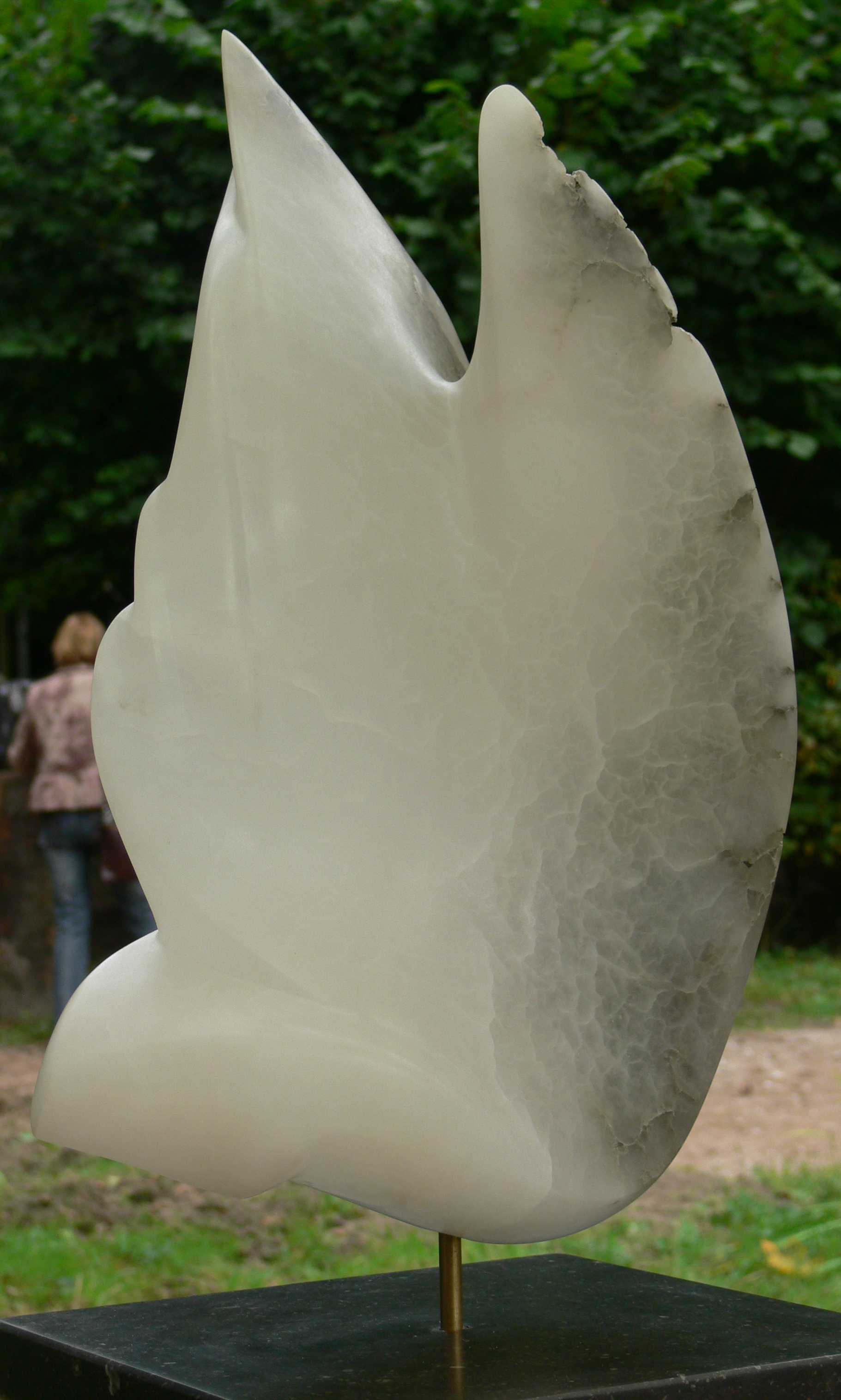 Opwaarts 2007