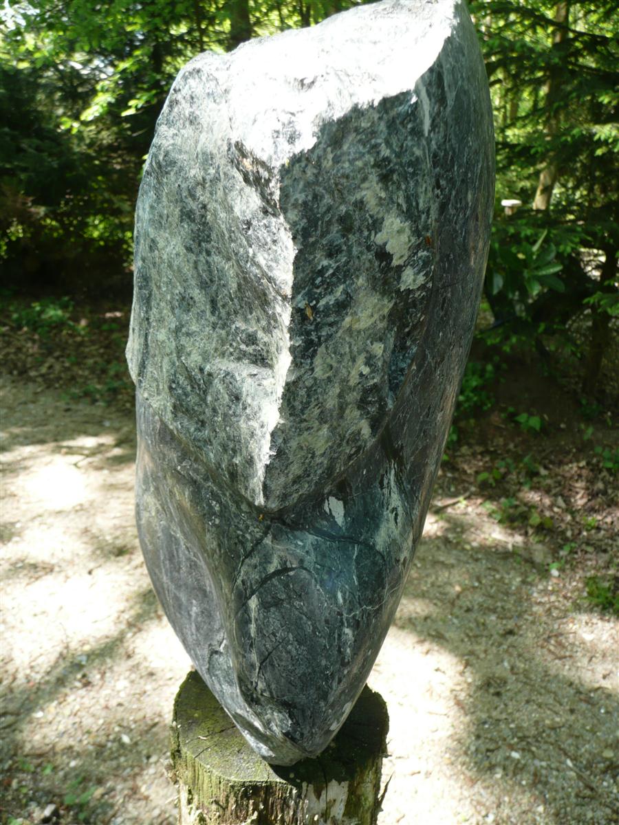 Pront 2007