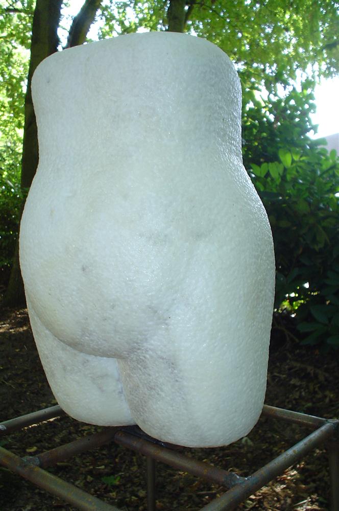 Torso 2005