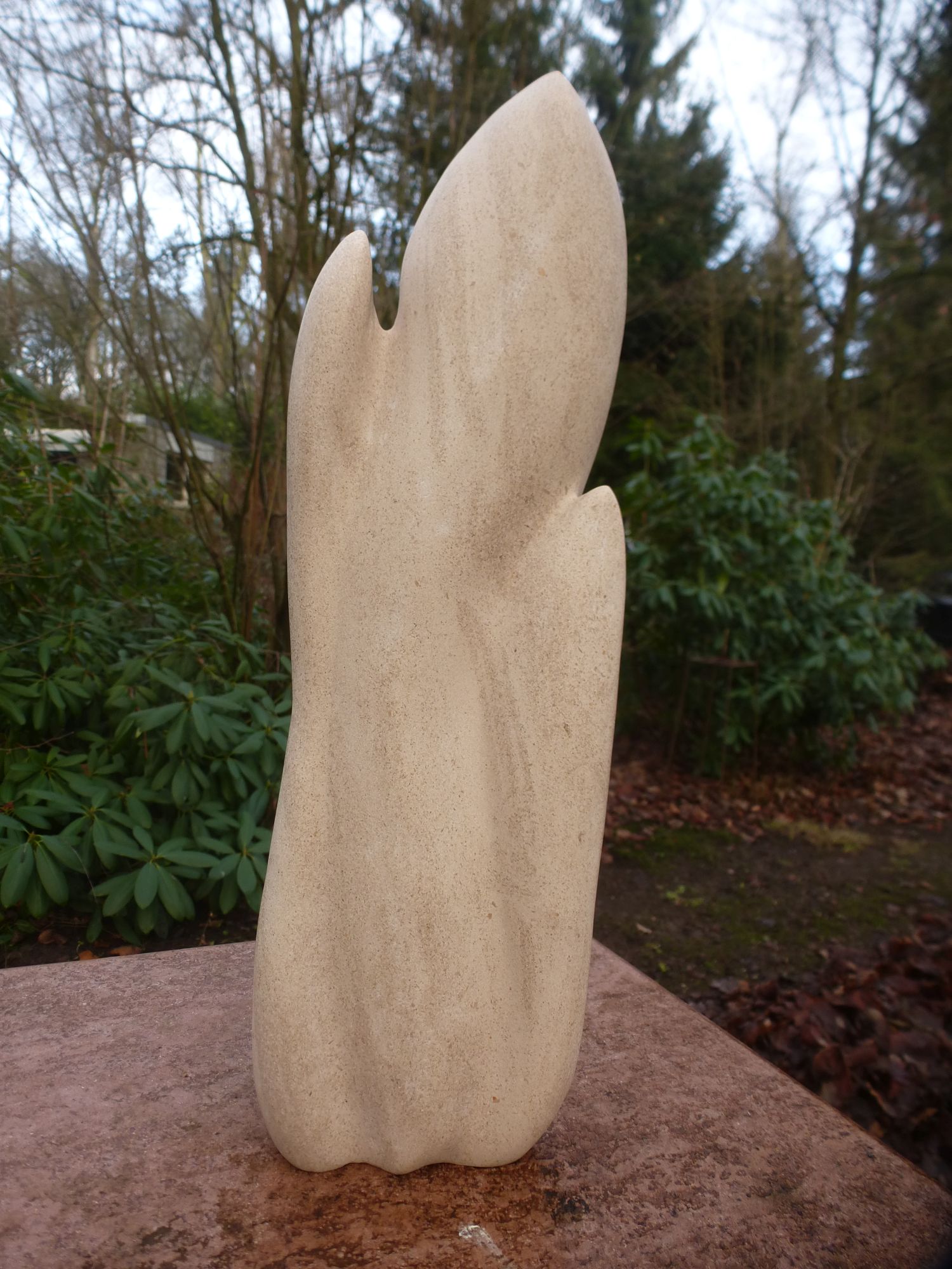 Vurig (wervelende vlammen) 2016